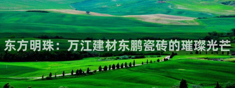 杏鑫平台招商电话号码