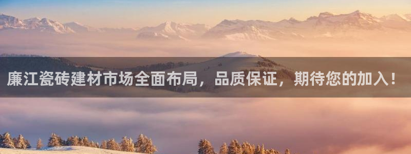 杏鑫官网最新信息新闻
