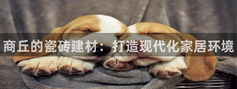 杏鑫平台在线注册怎么注册