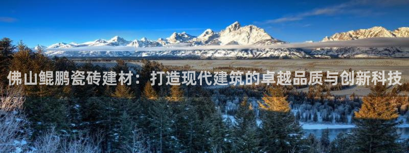 杏鑫招商总代