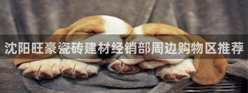 杏鑫平台下载安装