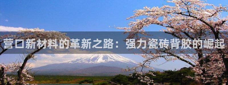 杏鑫平台代理怎么样啊