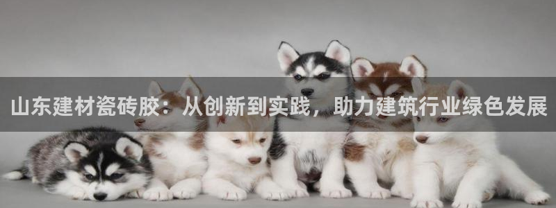 杏鑫平台招商电话号码是多少