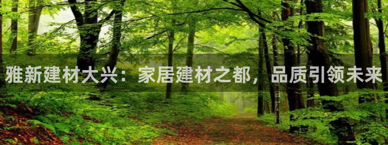 杏鑫平台野马联盟