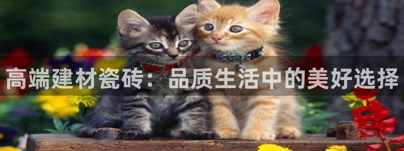杏鑫平台是黑平台吗知乎