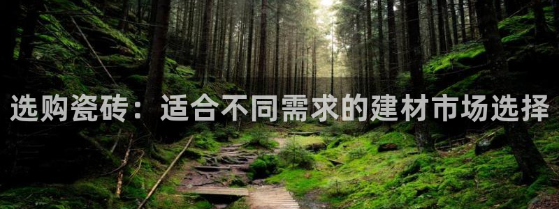 杏鑫平台正规吗是真的吗