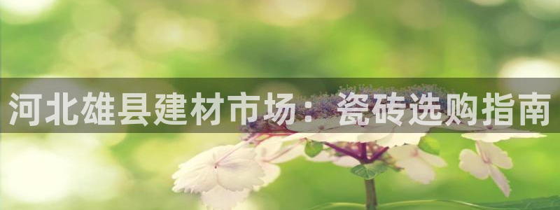 杏鑫平台代理注册多少钱