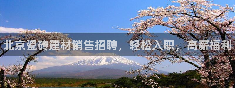 杏鑫平台注册入口在哪