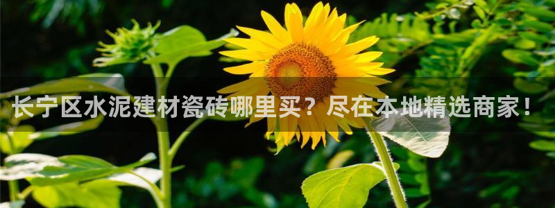 杏鑫平台代理注册登录不了怎么办呀视频