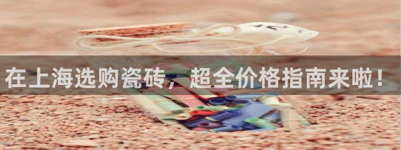 杏鑫代理注册资金多少