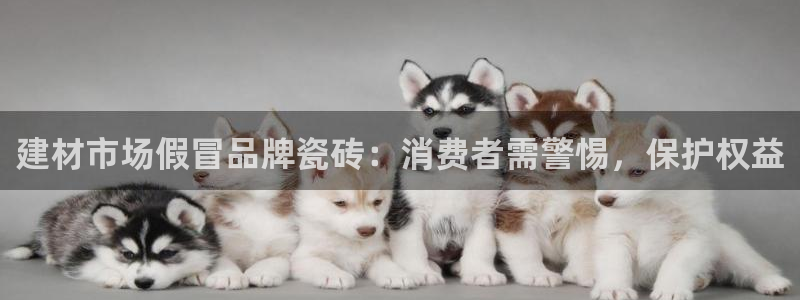 杏鑫注册平台官方网站下载