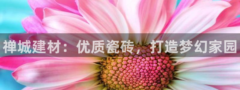 杏鑫平台注册入口在哪