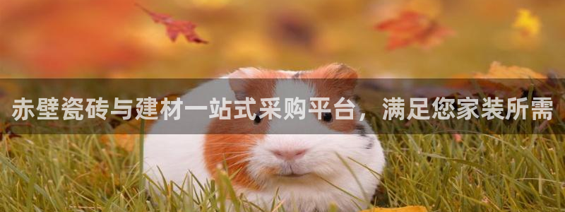 杏鑫注册登录网