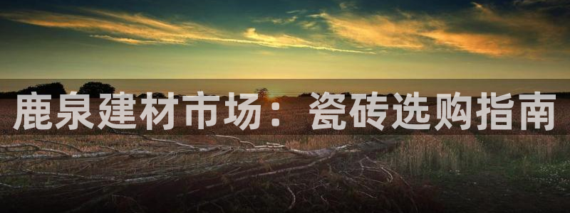 杏鑫登录注册测速