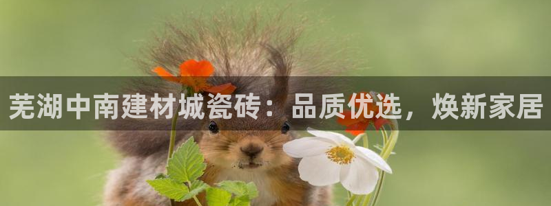 杏鑫平台登录地址在哪