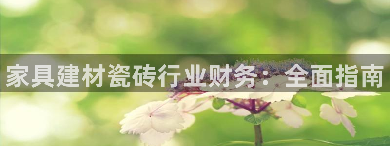 杏鑫平台代理注册多少钱