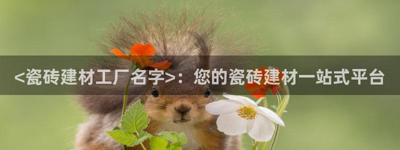 杏鑫代理注册平台