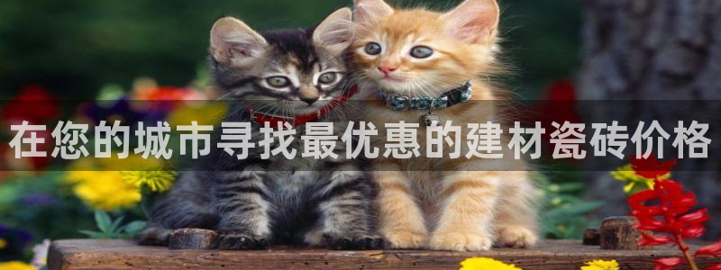 杏鑫平台代理注册登录不了怎么办呀苹果