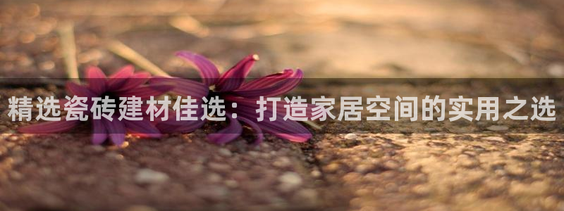 杏鑫平台注册入口在哪里找