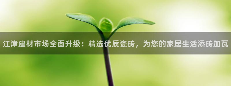 杏鑫注册登录平台