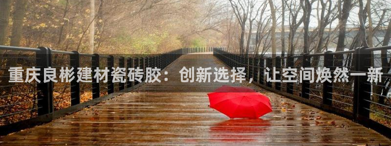 杏鑫平台注册网址查询