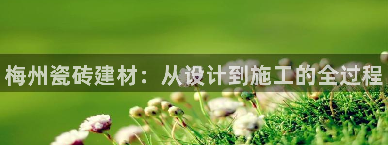 杏鑫平台注册登录