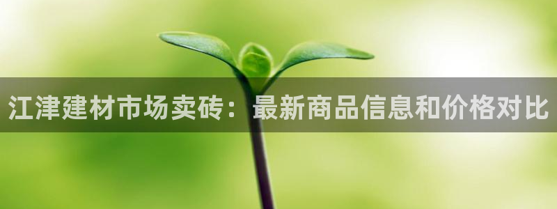 杏鑫平台注册入口在哪