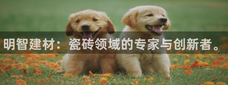 杏鑫登录注册测速