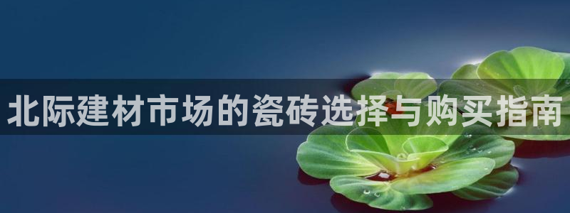 杏鑫平台代理注册多少钱一个