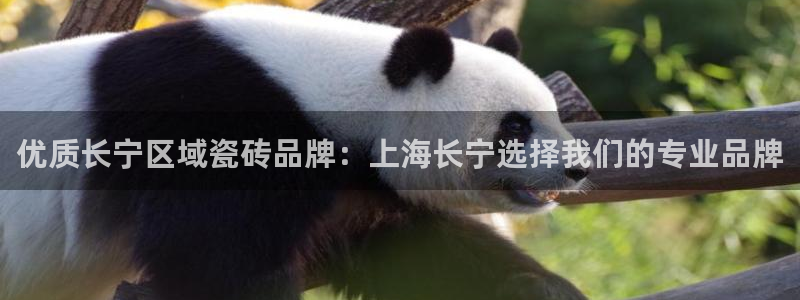 杏鑫注册登录网址是多少