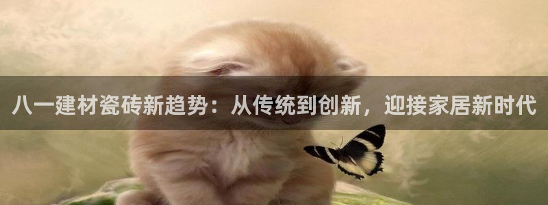 杏鑫平台登录注册