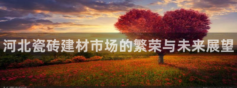 杏鑫官网注册账号密码忘了