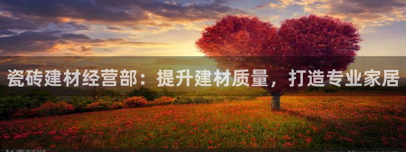 杏鑫官网注册账号怎么注册