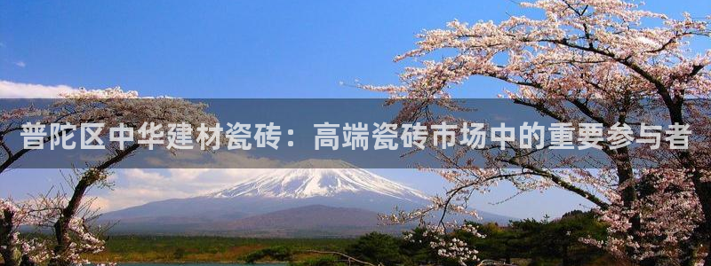 杏鑫娱乐是合法的吗?