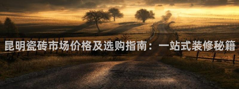 杏鑫官网注册账号是什么