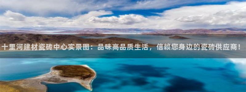 杏鑫平台登录地址是什么