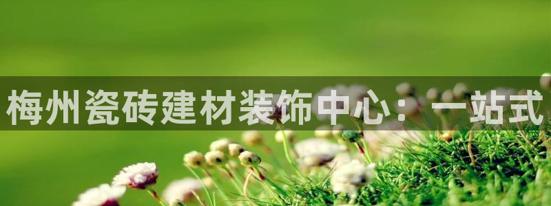 杏鑫平台列7O777