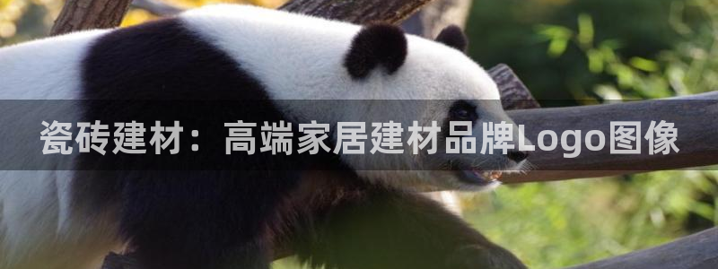 杏鑫平台在线注册