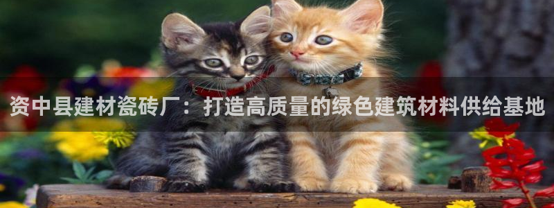 杏鑫娱乐是真的吗