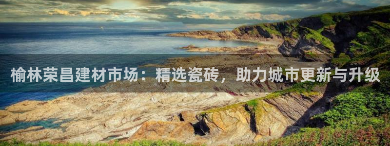 杏鑫官网最新信息