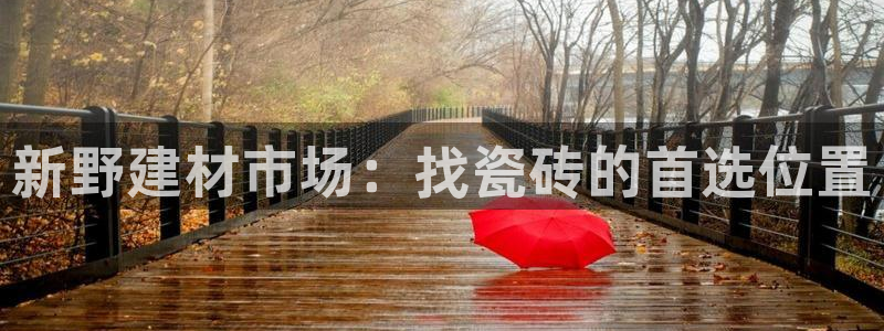 杏鑫平台注册网址查询