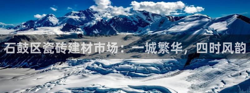 杏鑫平台代理注册多少钱一年