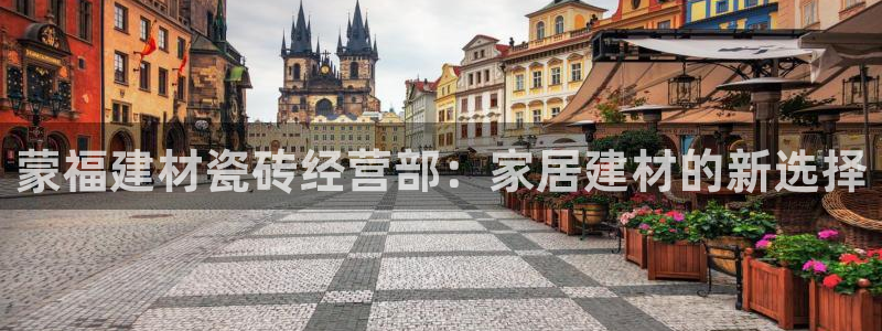 杏鑫代理注册登录