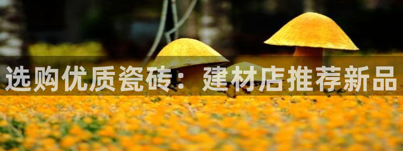 杏鑫平台代理注册登录不了怎么办呀苹果