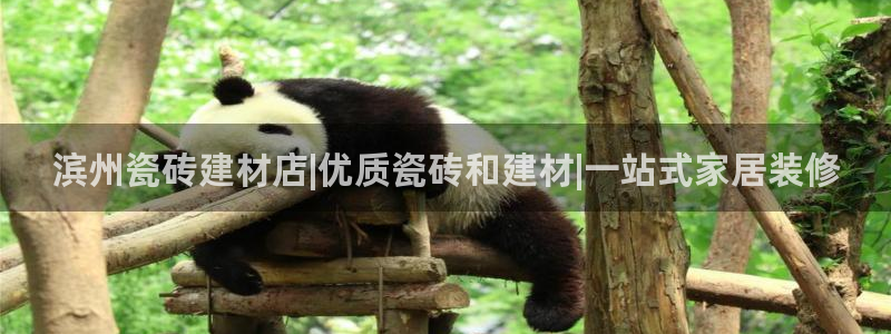 杏鑫平台代理注册流程图