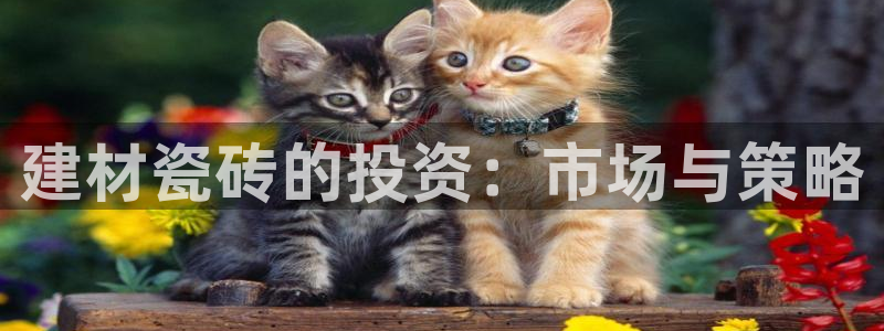 杏鑫平台是黑平台吗