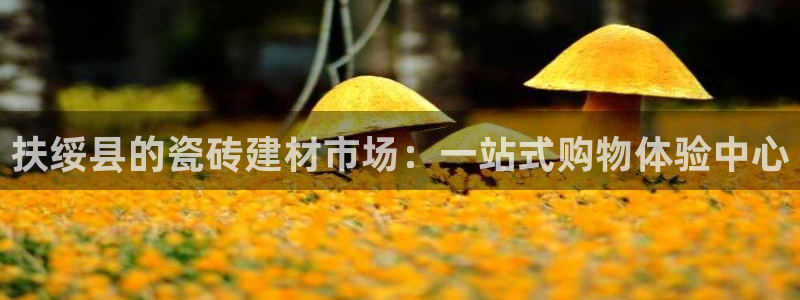 杏鑫官网最新信息新闻报道