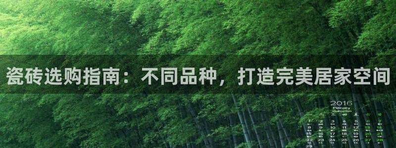 杏鑫娱乐开发团队