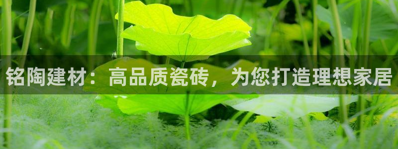 杏鑫注册平台官方网站入口