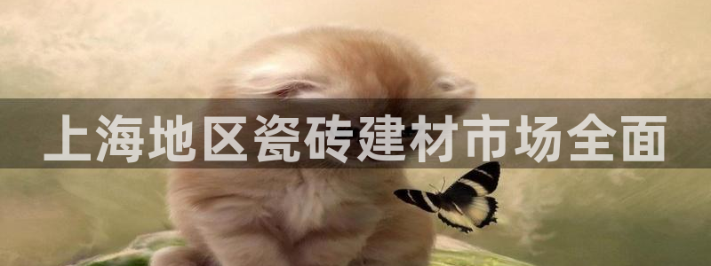 杏鑫娱乐平台测速怎么样